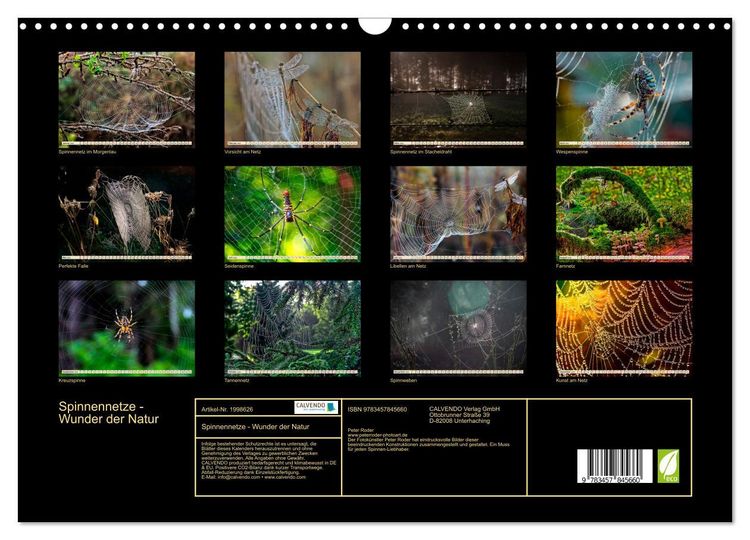 Produktbild: Spinnennetze - Wunder der Natur (Wandkalender 2026 DIN A3 quer), CALVENDO Monatskalender