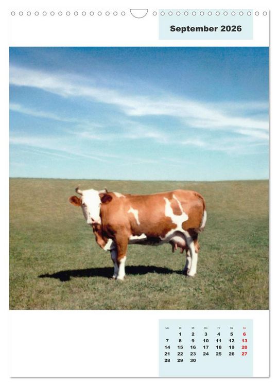 Produktbild: Blaues Land (Wandkalender 2026 DIN A3 hoch), CALVENDO Monatskalender