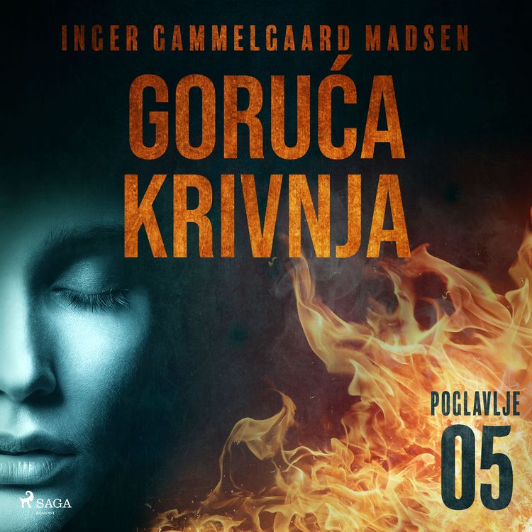 Produktbild: Goruća krivnja - Peto poglavlje