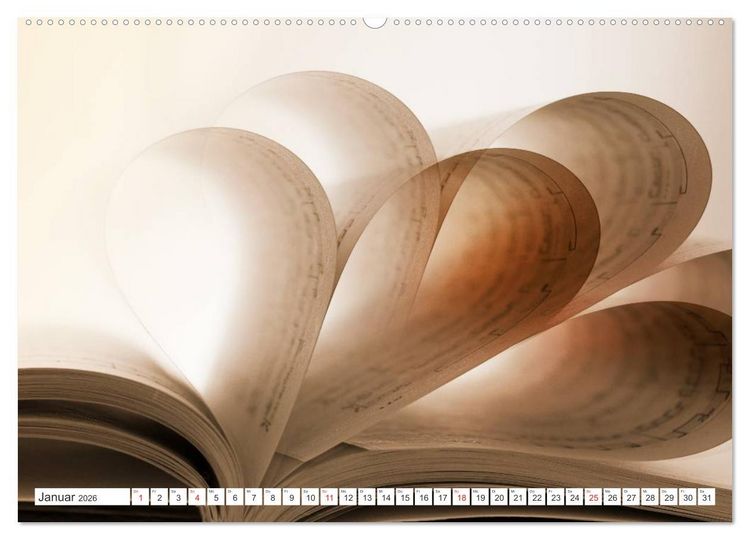 Produktbild: Ars Libri - Kunstwerk Buch (hochwertiger Premium Wandkalender 2026 DIN A2 quer), Kunstdruck in Hochglanz