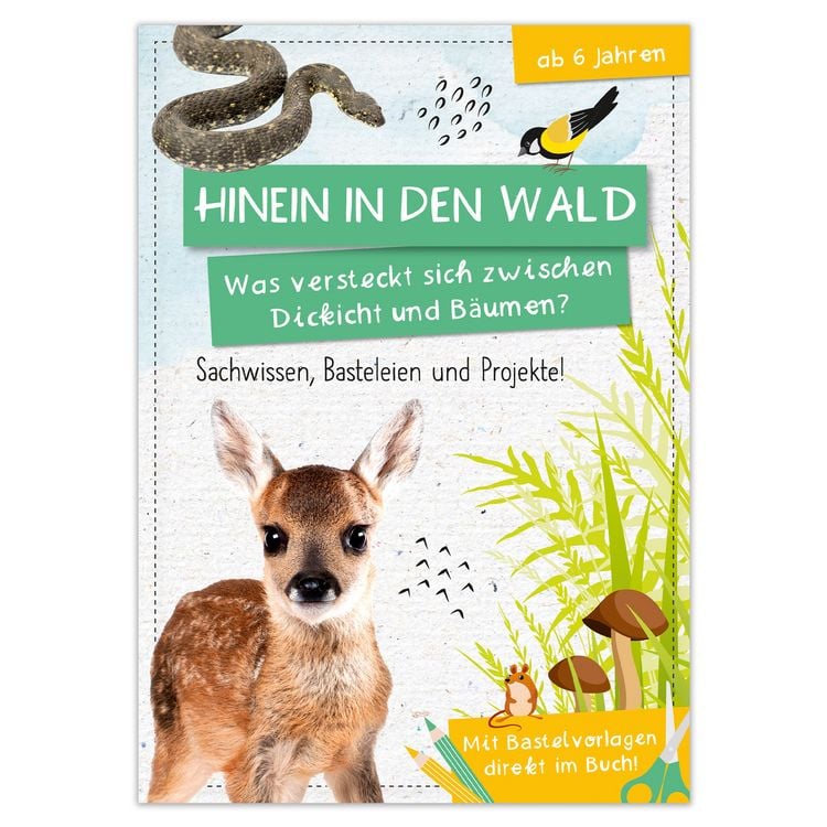 Produktbild: Activity Heft: Hinein in den Wald - Was versteckt sich zwischen Dickicht und B&auml;umen?
