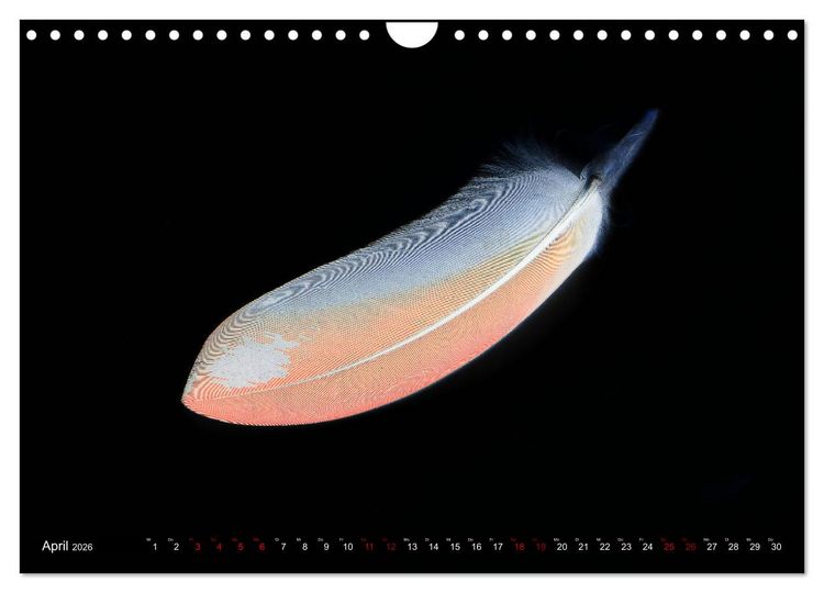 Produktbild: Federleichte Momente (Wandkalender 2026 DIN A4 quer), CALVENDO Monatskalender