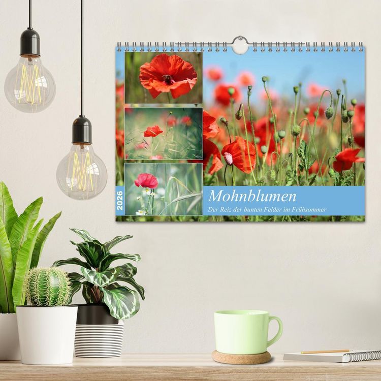Produktbild: Mohnblumen (Wandkalender 2026 DIN A4 quer), CALVENDO Monatskalender