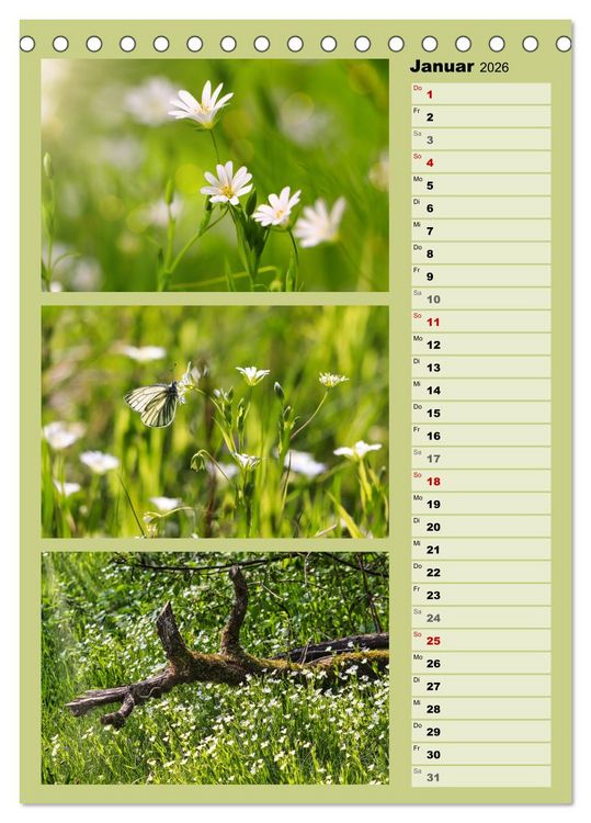 Produktbild: Farbenzauber, bunte Wiesen und bunte Falter (Tischkalender 2026 DIN A5 hoch), CALVENDO Monatskalender