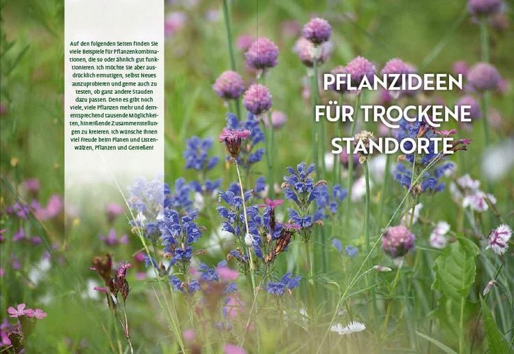 Produktbild: Echte Hitzeprofis
