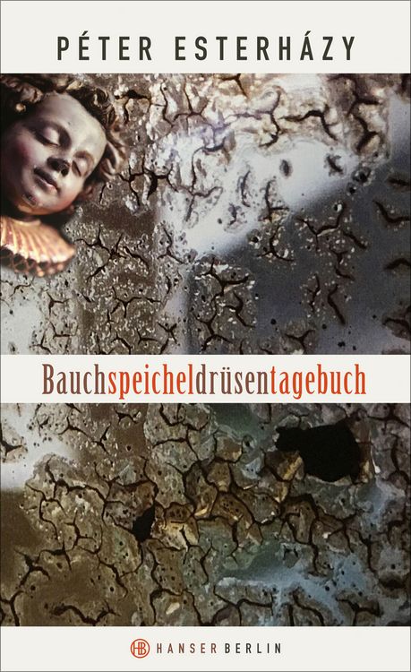 Produktbild: Bauchspeicheldr&uuml;sentagebuch