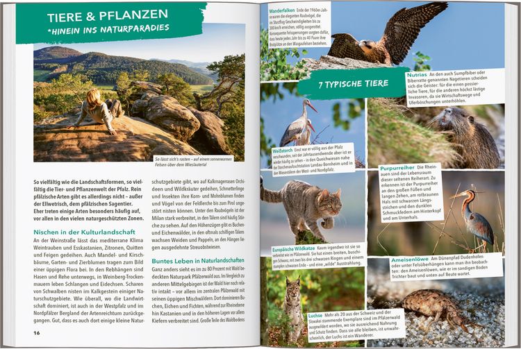 Produktbild: MARCO POLO OUTDOOR GUIDE Reisef&uuml;hrer Pfalz