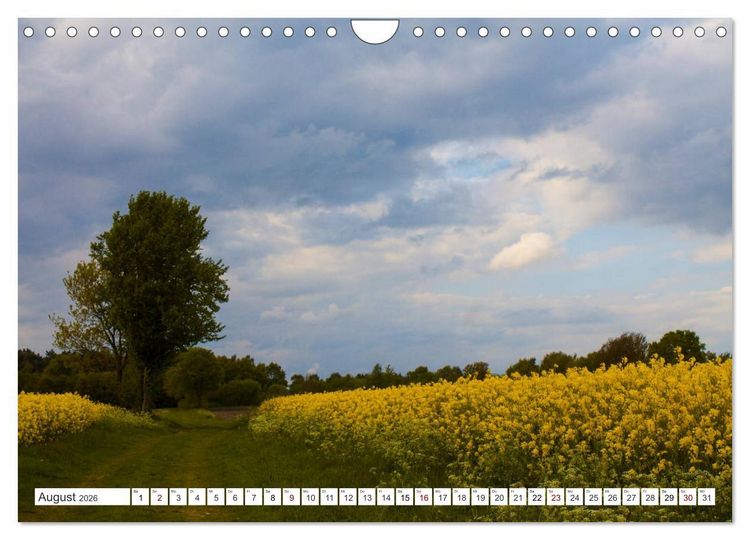 Produktbild: Osterholz-Scharmbeck, Natur-Impressionen aus dem Teufelsmoor (Wandkalender 2026 DIN A4 quer), CALVENDO Monatskalender