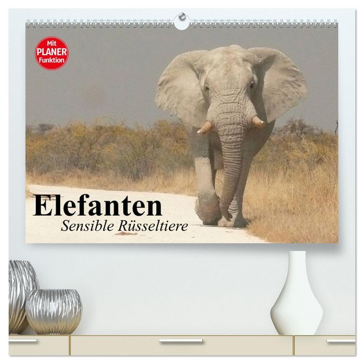 Produktbild: Elefanten. Sensible R&uuml;sseltiere (hochwertiger Premium Wandkalender 2026 DIN A2 quer), Kunstdruck in Hochglanz