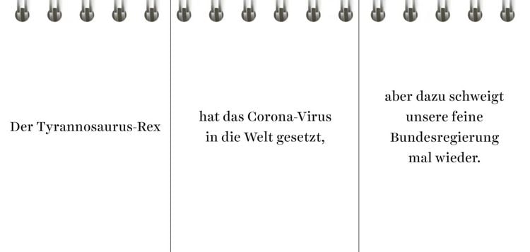 Produktbild: Der Desinformator