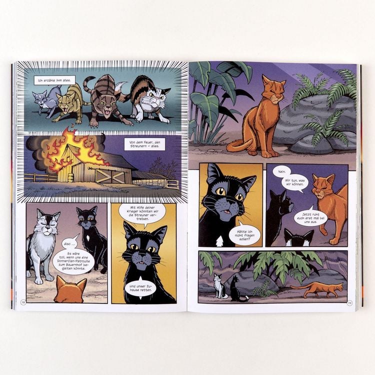 Produktbild: Warrior Cats - Rabenpfotes Weg