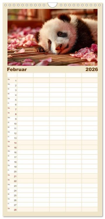 Produktbild: Familienplaner 2026 - GUTE NACHT - Schlafende Tiere, traumhaft sch&ouml;n mit 5 Spalten (Wandkalender, 21 x 45 cm) CALVENDO