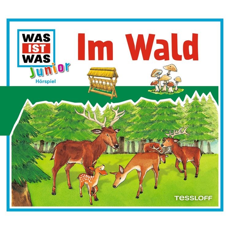 Bild vom Artikel 11: Im Wald vom Autor Friederike Wilhelmi