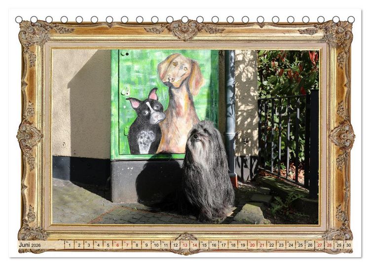 Produktbild: Hunde sind Kunst (Tischkalender 2026 DIN A5 quer), CALVENDO Monatskalender