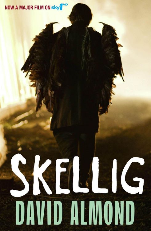 Produktbild: Skellig