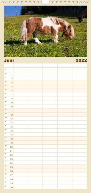 Produktbild: Familienplaner Pferde und Ponys im Paradies (Wandkalender 2022 , 21 cm x 45 cm, hoch)