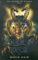 Produktbild: Souls in Exile