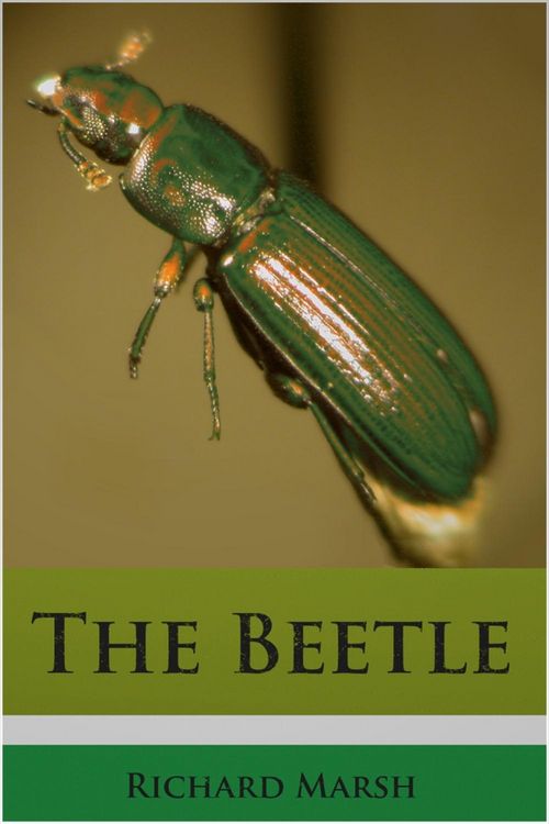 Produktbild: Beetle