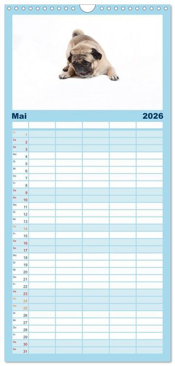 Produktbild: Familienplaner 2026 - Mops - unwiderstehlich und charmant mit 5 Spalten (Wandkalender, 21 x 45 cm) CALVENDO