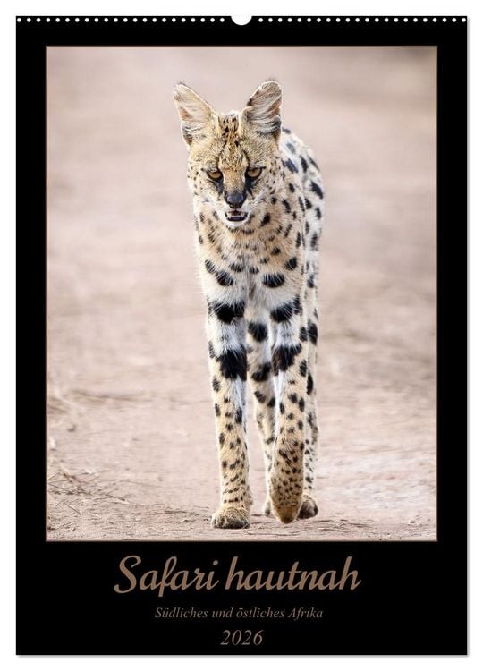 Produktbild: Safari hautnah - S&uuml;dliches und &ouml;stliches Afrika (Wandkalender 2026 DIN A2 hoch), CALVENDO Monatskalender