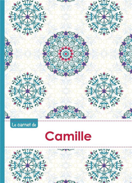 Produktbild: Le carnet de camille lignes, 96p,