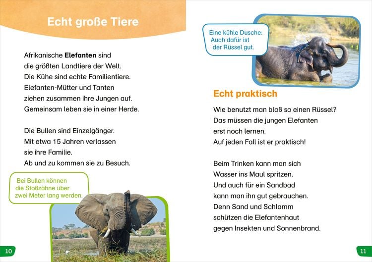 Produktbild: WAS IST WAS Erstes Lesen easy! Tiere in Afrika