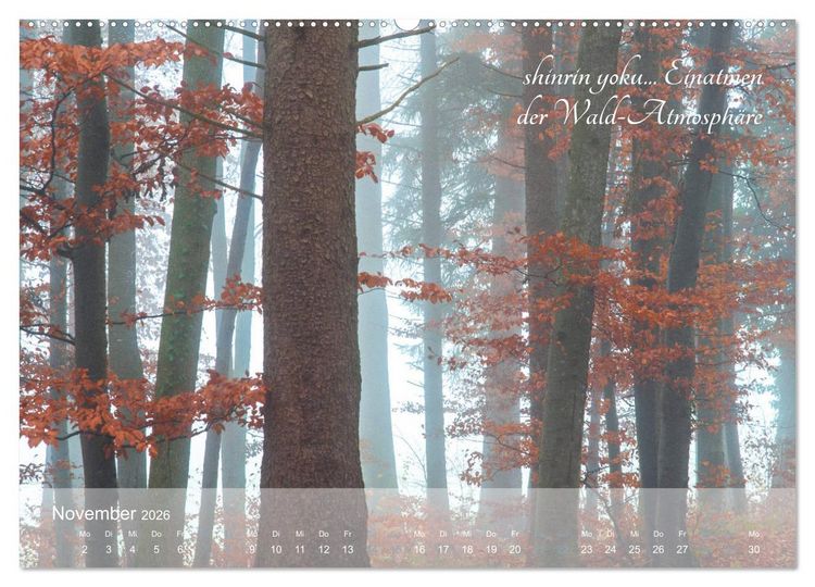 Produktbild: Shinrin yoku - Waldbaden 2026 (hochwertiger Premium Wandkalender 2026 DIN A2 quer), Kunstdruck in Hochglanz