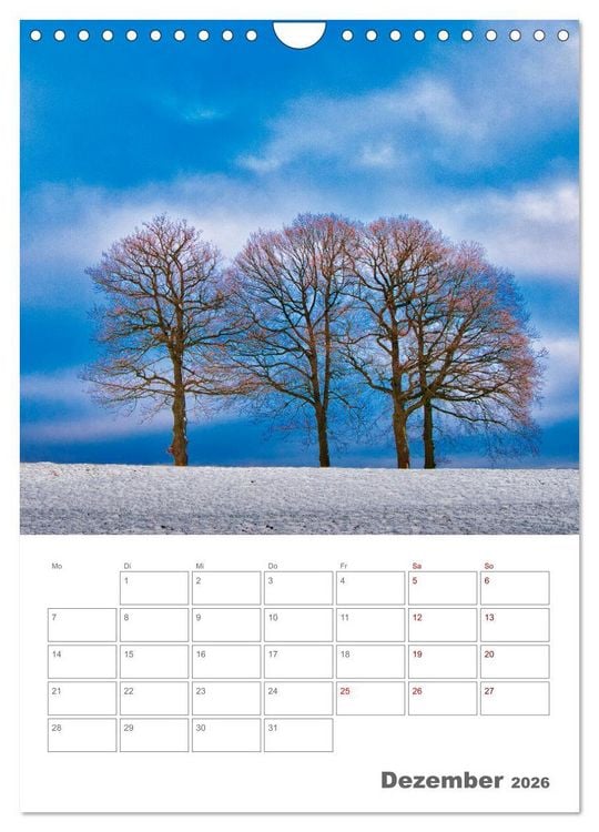 Produktbild: Planen mit dem Symbol der inneren St&auml;rke (Wandkalender 2026 DIN A4 hoch), CALVENDO Monatskalender