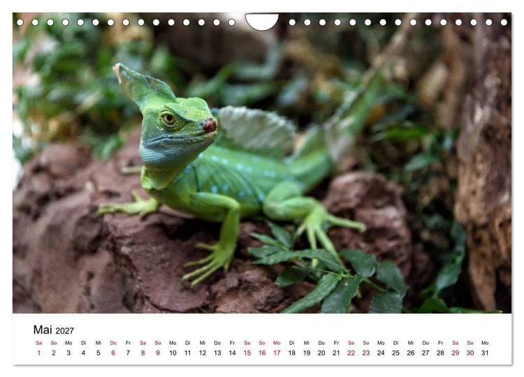 Produktbild: Costa Rica - das Naturparadies (Wandkalender 2027 DIN A4 quer), CALVENDO Monatskalender
