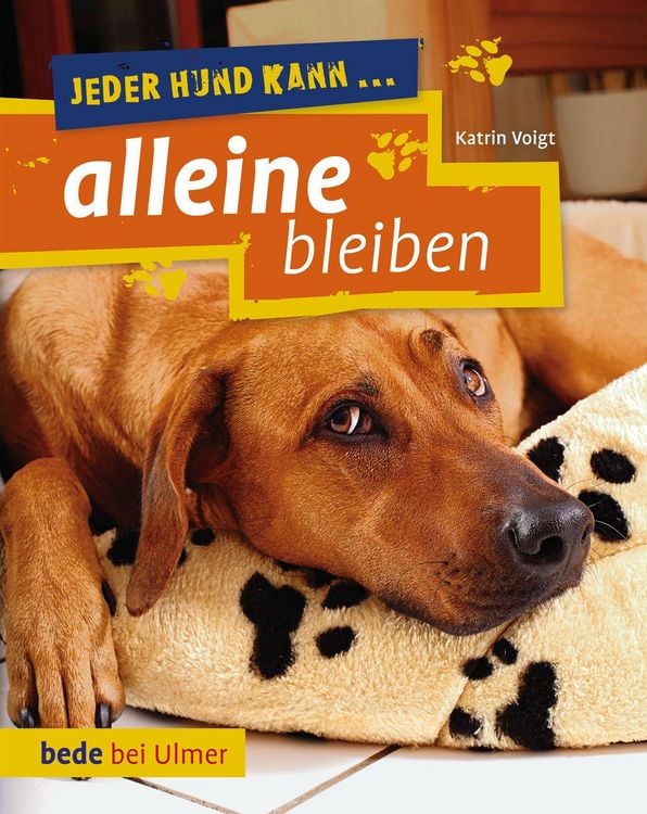Bild vom Artikel Jeder Hund kann alleine bleiben vom Autor Katrin Voigt