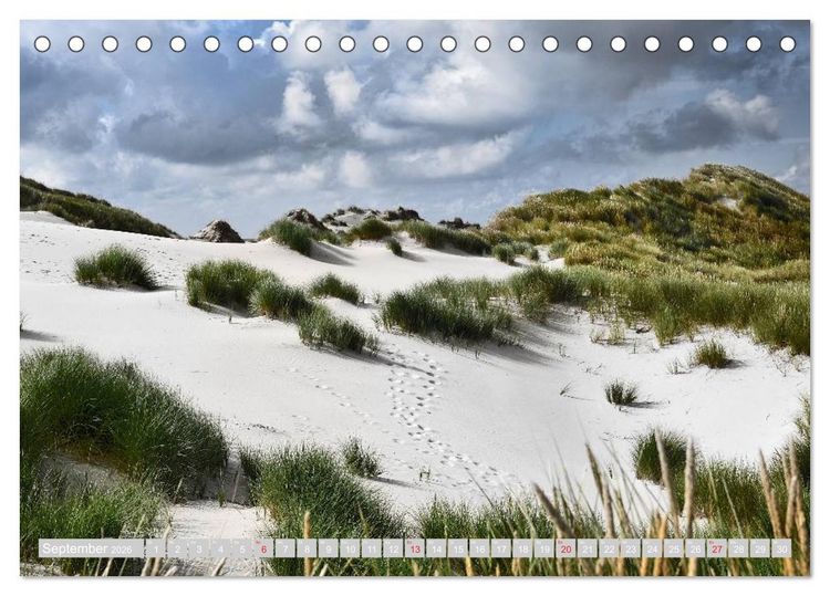 Produktbild: Amrum, die Perle in der Nordsee (Tischkalender 2026 DIN A5 quer), CALVENDO Monatskalender