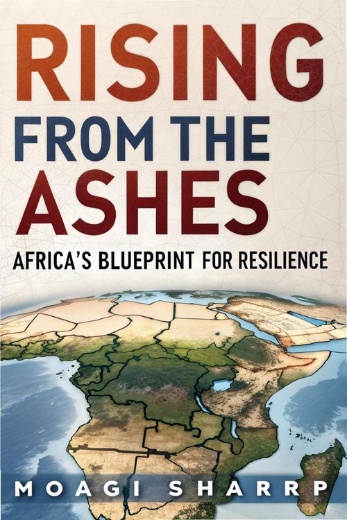 Produktbild: Rising From The Ashes