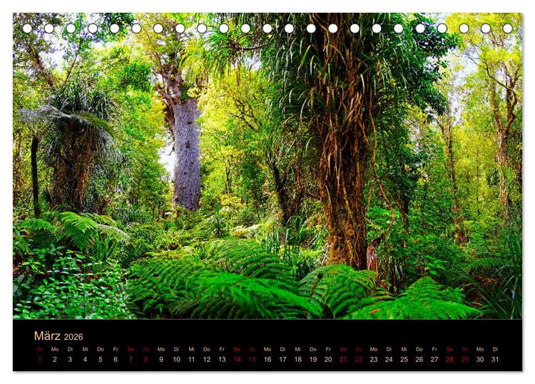 Produktbild: S&uuml;dseetraum Neuseeland (Tischkalender 2026 DIN A5 quer), CALVENDO Monatskalender