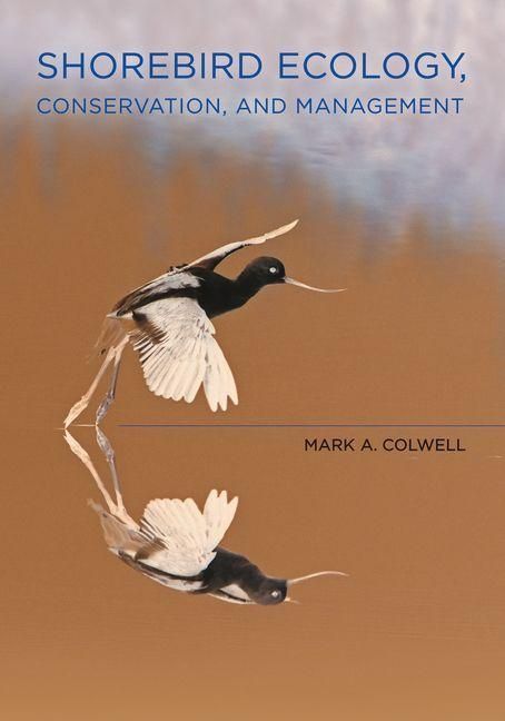 Produktbild: Shorebird Ecology, Conservation, and Management