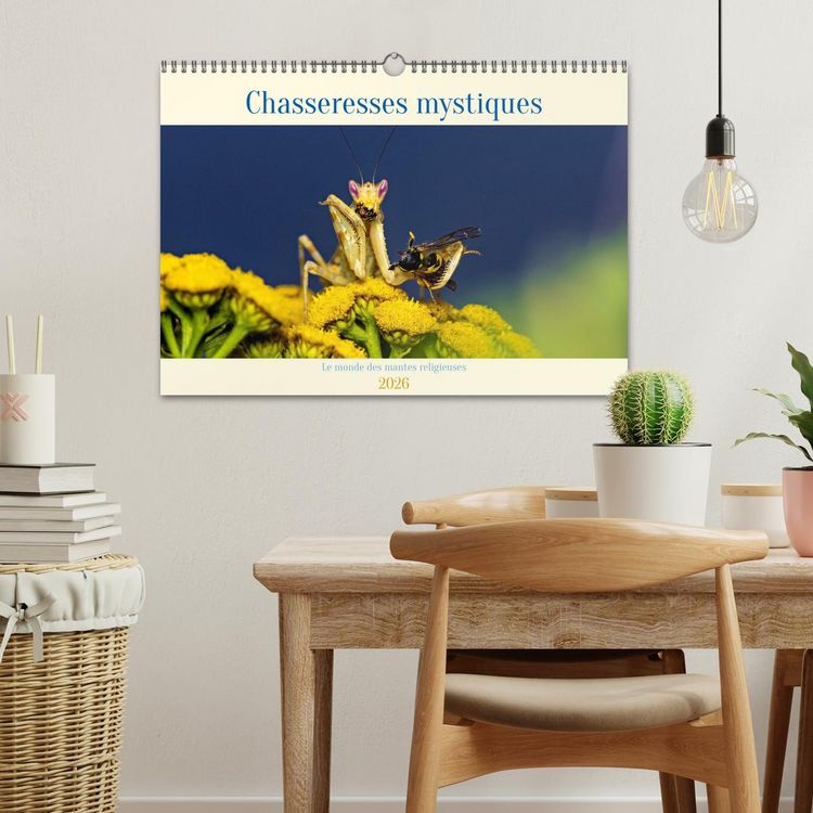Produktbild: Chasseresses mystiques (Calendrier mural 2026 DIN A3 vertical), CALVENDO calendrier mensuel