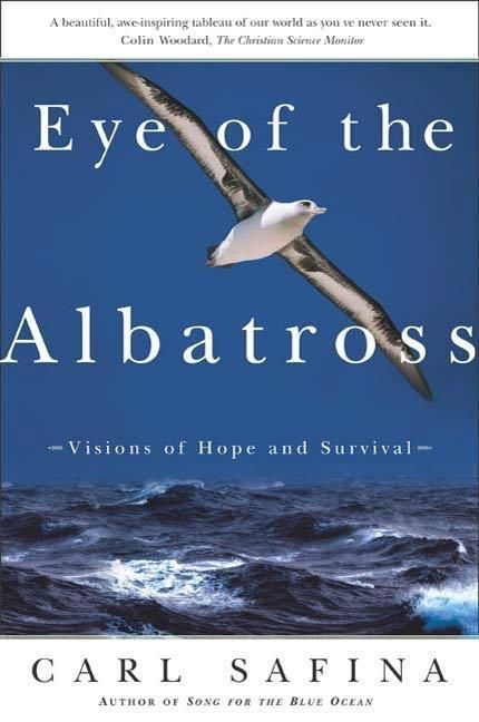 Produktbild: Eye of the Albatross