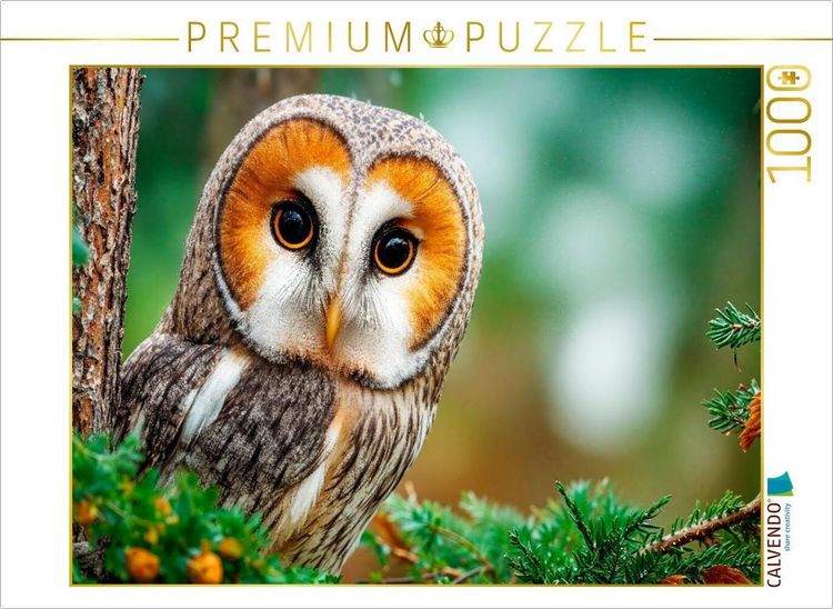 Produktbild: CALVENDO Puzzle Eine aufmerksame Schleiereule | 1000 Teile Lege-Gr&ouml;&szlig;e 64x48cm Foto-Puzzle f&uuml;r gl&uuml;ckliche Stunden