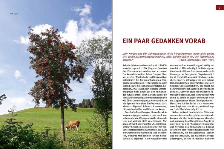 Produktbild: Klimawandel - was nun?