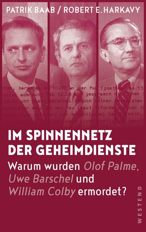 Produktbild: Im Spinnennetz der Geheimdienste