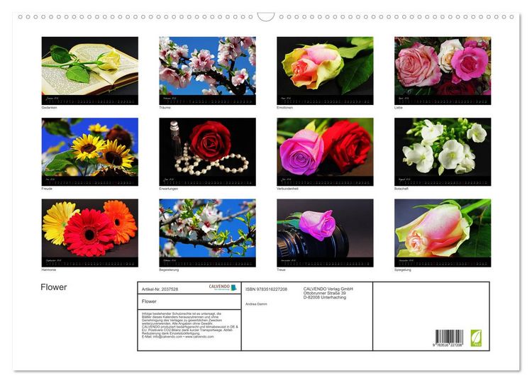 Produktbild: Flower (Wandkalender 2026 DIN A2 quer), CALVENDO Monatskalender