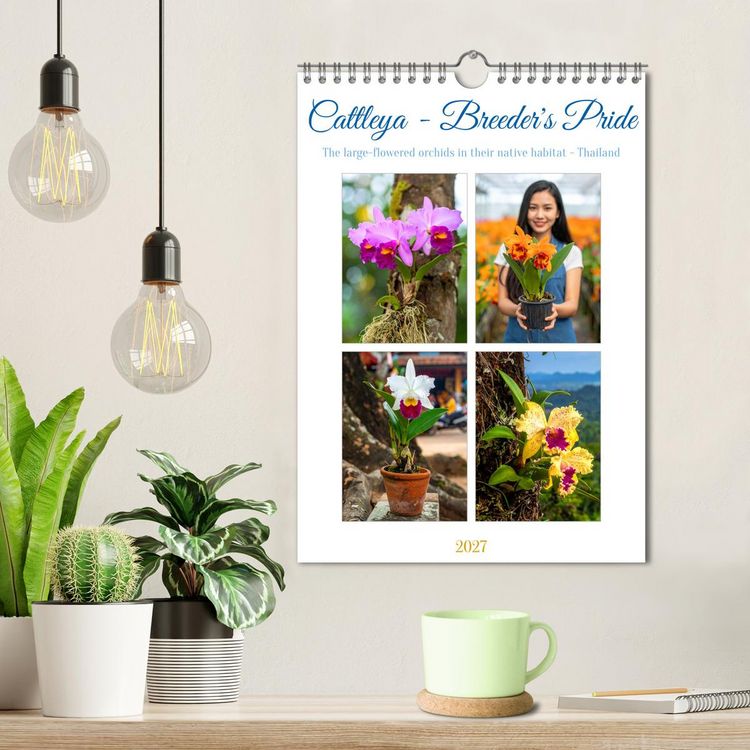 Produktbild: Cattleya - Breeder's Pride (Wall Calendar 2027 DIN A4 portrait), CALVENDO 12 Month Wall Calendar