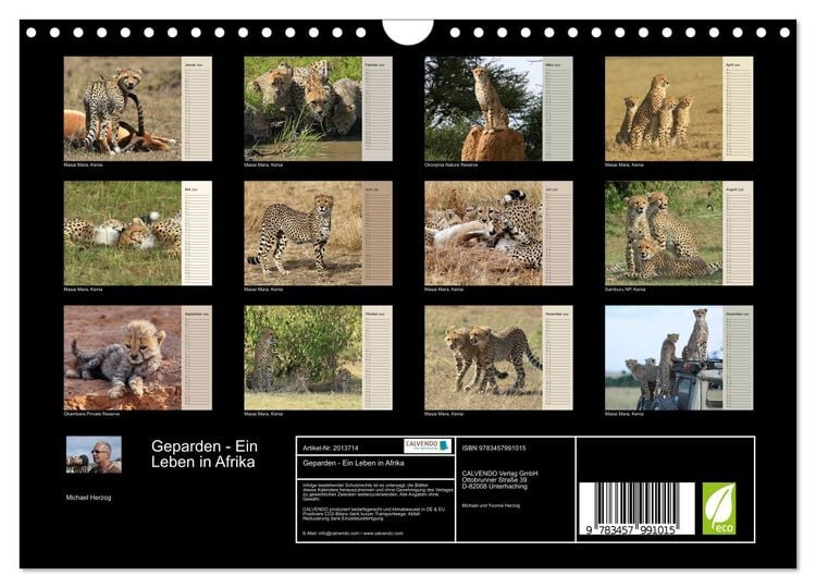 Produktbild: Geparden - Ein Leben in Afrika (Wandkalender 2026 DIN A4 quer), CALVENDO Monatskalender