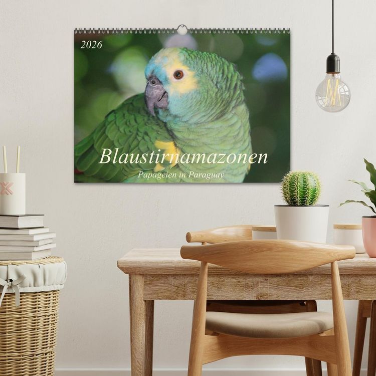 Produktbild: Blaustirnamazonen - Papageien in Paraguay (Wandkalender 2026 DIN A3 quer), CALVENDO Monatskalender