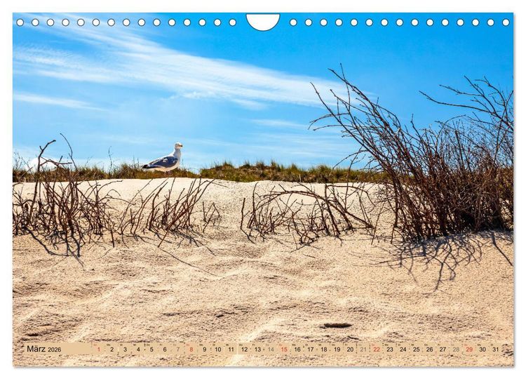 Produktbild: Norderney Spaziergang (Wandkalender 2026 DIN A4 quer), CALVENDO Monatskalender