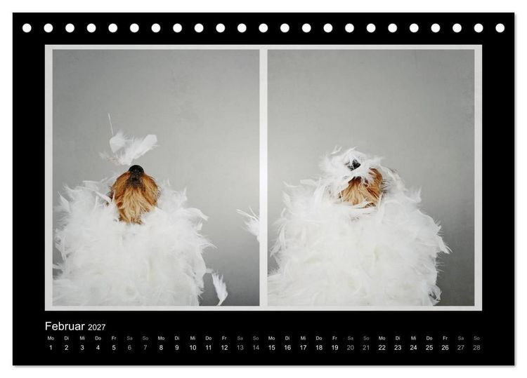 Produktbild: Elli Pirelli... aus dem Leben eines fr&ouml;hlichen Pinscher-Dackel-M&auml;dels (Tischkalender 2027 DIN A5 quer), CALVENDO Monatskalender