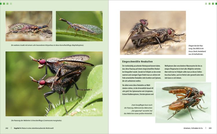 Produktbild: Extreme Wildlife-Makrofotografie
