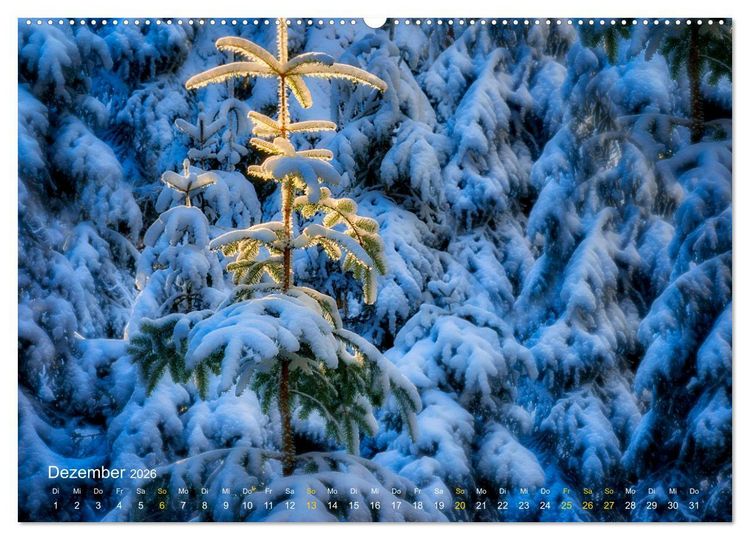 Produktbild: Traum Momente (hochwertiger Premium Wandkalender 2026 DIN A2 quer), Kunstdruck in Hochglanz