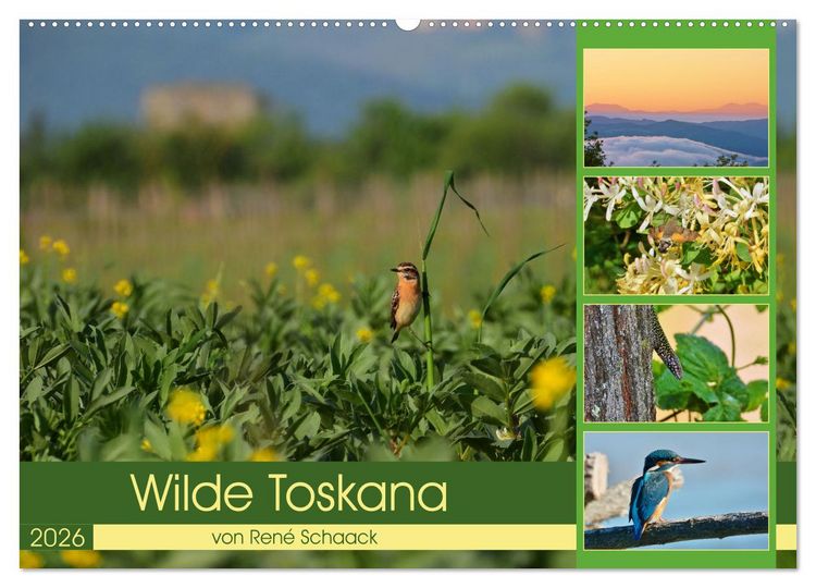 Produktbild: Wilde Toskana - von Ren&eacute; Schaack (Wandkalender 2026 DIN A2 quer), CALVENDO Monatskalender