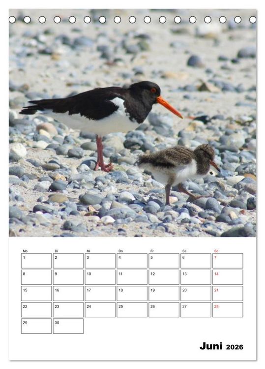 Produktbild: Einzigartige Insel Helgoland (Tischkalender 2026 DIN A5 hoch), CALVENDO Monatskalender