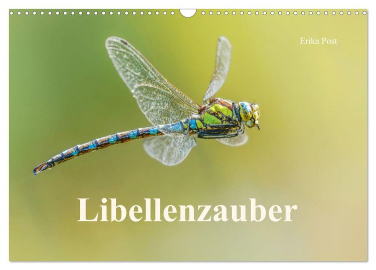 Produktbild: Libellenzauber (Wandkalender 2027 DIN A3 quer), CALVENDO Monatskalender